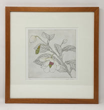 Load image into Gallery viewer, Bobbi Angell: Magnolia Sieboldii