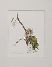 Load image into Gallery viewer, Dani Antes: Harvest Mouse with White Berries Print