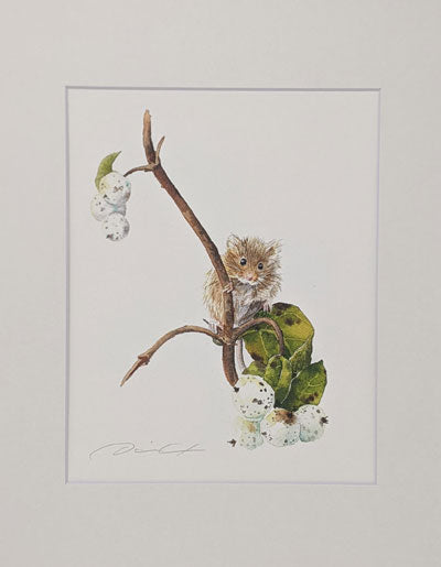 Dani Antes: Harvest Mouse with White Berries Print