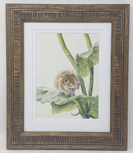 Dani Antes: Harvest Mouse On Wet Leaves