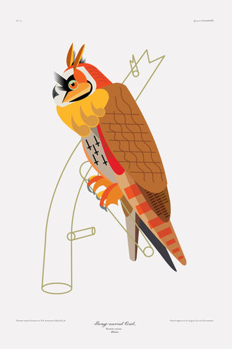 Don Carter: Long Earred Owl Print