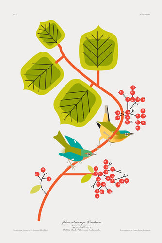 Don Carter: Pine Swamp Warbler Print