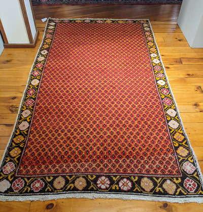 Rug: Anatolian Rug, 4'3