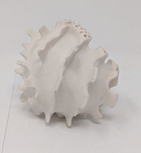 Load image into Gallery viewer, Lulu Fichter: Small White Sea Pod