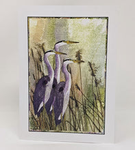 Load image into Gallery viewer, Polly French: 5 Cards, Herons &amp; Egrets